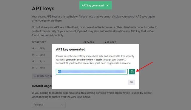 Copy OpenAI API Key