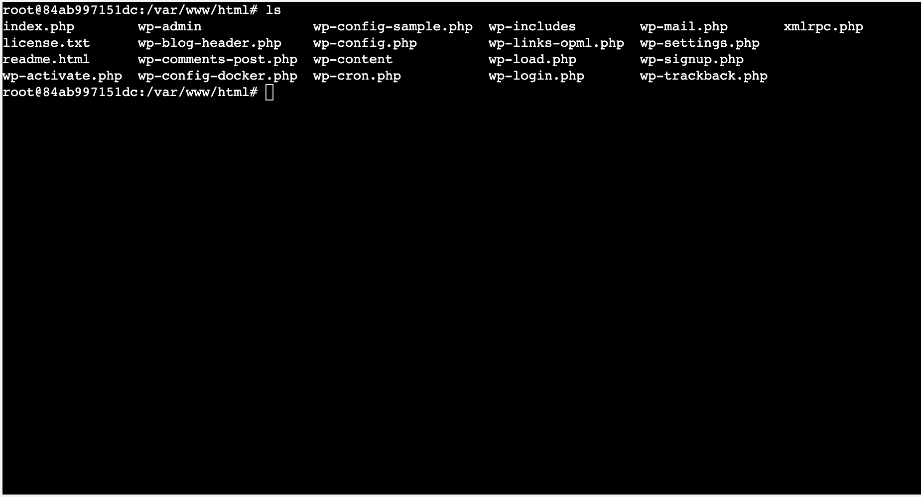 WordPress Files Directory in Running Docker Container